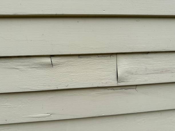 Best Custom Trim and Detailing for Siding  in Bellmore, NY